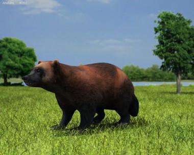 Wolverine 3D Model