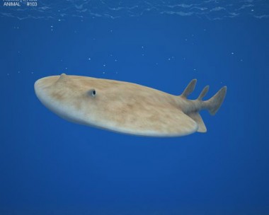 Pacific Electric Ray 3D Model