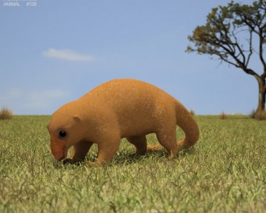 Silky Anteater 3D Model