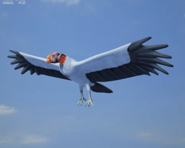 King Vulture 3D Model