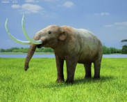 Mastodon 3D model