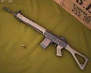 SIG SG 550 3D model