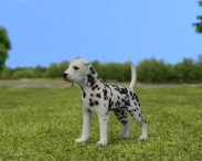 Dalmatian Puppy 3D model