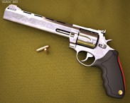 Taurus Raging Bull 3D model