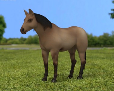 American Quarter Horse 3D Model