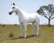 Arabian Horse 3D model