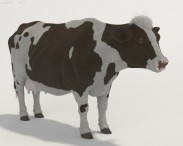 Cow HD 3D model