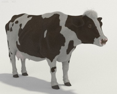 Cow HD 3D Model