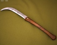 Falx 3D model