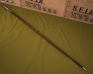Hasta 3D model