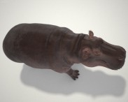 Hippopotamus High Detailed 3d model