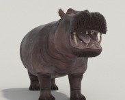 Hippopotamus High Detailed 3d model