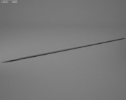Hasta 3d model