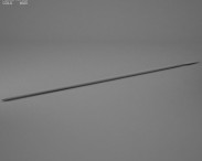 Hasta 3d model